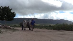 Fotografia paisagem de um homem indígena em frente à carroça de bois numa estrada ampla e arenosa, ladeada por vegetação rasteira. O homem usa boné, blusa polo azul e bermuda bege. Ele segura uma vara, apoiada no ombro. Ao longe, uma imensa montanha e o céu nublado.