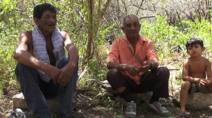 Fotografia paisagem de dois homens e uma criança indígenas sentados em pedras num ambiente cercado de árvores e vegetação rasteira. O homem da esquerda, de meia idade, tem a pele escura, cabelo e bigode pretos. O seu rosto é magro e queixo pontudo. Ele olha para baixo, com a musculatura do rosto rígida. Ele é esguio e usa blusa por cima do ombro e calça jeans. O homem do meio, aparenta ter 60 anos. É calvo com fios de cabelo grisalhos, tem a pele escura e sobrancelhas grossas. Ele olha para frente com as sobrancelhas franzidas. Usa blusa de botão laranja, calça marrom, meia preta e tênis. A criança, à direita, é um menino que aparenta ter 7 anos, tem cabelo liso preto, pele bronzeada, olhos pequenos e rosto arredondado, com maçãs acentuadas. Ele está com a cabeça inclinada para direita, olhar fixo e ombros caídos com o peito nu. Os três repousam os braços nas pernas flexionadas e estão com as duas mãos juntas à frente do corpo.